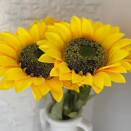 Attico Girasole Apartment